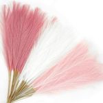 Agusbagli 30pcs Pink Faux Pampas Grass, 21.6in Fluffy Artificial Colored Pompas Grass Short Blush Fake Pampas Stems Vase Filler Flower Arrangement for Home Wedding Centerpieces Bohe Decor