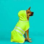 That Dog In Tuxedo Pawddington Dog Raincoat with Hoodie - Neon Green (Size - 22)