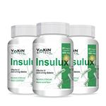 Vokin Biotech Herbal Insulux Gymnema Sylvestre For Endocrine Health & Diabetes Control 800mg 20 Capsules (Pack of 3)