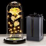 Galaxy Rose for Her, Light Up Rose Flowers, Artificial Flower Rose Gift for Women Mom Wife Lover Daughter, Rose Flower in Glass Dome Present for Thanksgiving, Wedding, Birthday, Anniversary, Christmas