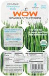 Organic Frozen Wow Wheatgrass - No 