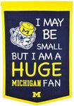 Winning Streak Sports NCAA Michigan