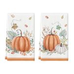 Artoid Mode Eukalyptus Leaves Pumpkins Autumn Kitchen Towels Dish Towels, 42x65 cm Seasonal Fall Decoration Hand Towels Set of 2