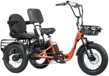 TINIOVER Creek Folding Electric Tri