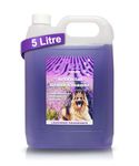 Pet Guard Artificial Grass Cleaner 5L Dog Safe Pet Eliminates Bacteria Deodorises Disinfects - Puppy Urine Cleaner & Odour Remover - Astro Turf Cleaner Dog Urine and Poop - Pet Friendly (Lavender)