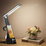 Daylight Led Desk Lamp