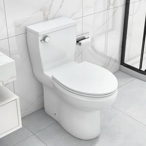 Wonchael 12"Rough-in Elongated Classic One Piece Comfort Tall Toilet With Single 1.28 GPF Front Flush Soft Closing Seat 17.25-in Seat Height,White