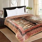 Signature Microfiber Comfy Gold Super Soft 2 Ply King Size Double Bed Luxury Winter Blanket 5kg for Heavy Winter (Jungle Majesty.)