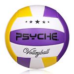 Volleyball Official Size 5,Soft Indoor Outdoor Volleyballs for Kids/Adults Gym Beach Games Play