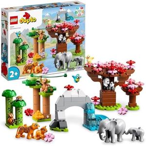 LEGO® DUPL