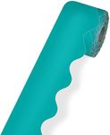 Carson Dellosa 65 Feet Teal Bulleti