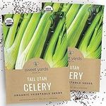 Organic Celery Seeds ‘Tall Utah’ – 