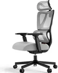 ProtoArc Ergonomic Office Chair, EC