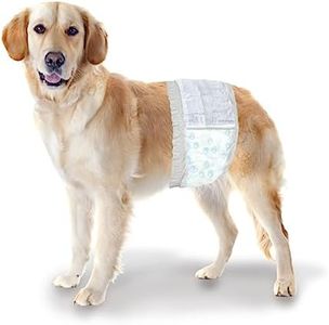 Four Paws Wee-Wee Super Absorbent Disposable Dog Diapers, Medium (12 Count)