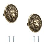 VOLO Antique Brass Finish Lion Cabinet Knob/Pull Handle/knobs for Drawers/Drawer knobs/Handle/knobs for cabinets (Lion Antique)(Model-S164) (Big, 3)