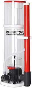 Reef Octop