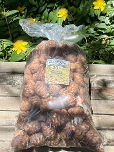 20 lbs Jerusalem Artichoke Tubers, Bulk Sunchoke Bulbs for Eating, Planting