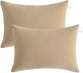 BEDSUM 2 Pack Pillows, 13"x18" Microfiber Pillows for Travel, Pets, Soft and Machine Washable Small Pillows for Neck, Wrist, and Knee Comfort, Taupe