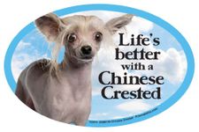 Prismatix Decal Dog Pet Magnets, Chinese Crested - Life's Better with a Chinese Crested - Strong Durable Car or Fridge Magnet Decal with Bright Colors, Great Gift for Dog Mom or Dad, 6 x 4 inches