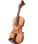 NGM Musicals Maplewood Five String Violin with Case, Bow and Rosin (4/4, With triangular case)