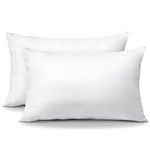 OTOSTAR Pack of 2 Throw Pillow Inse