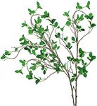 Ollain 43" Artificial Greenery Stem