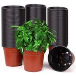 Pot For Plant Bulk