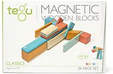 24 Piece Tegu Magnetic Wooden Block