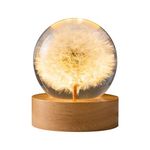 Flower Crystal Ball Night Light, 6cm Glass Ball Night Lamp Light Stand Base, USB Powered LED Lamp for Glass Ball (Dandelion)