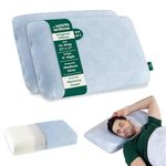 The White Willow Pillow Set of 2 Orthopedic Memory Foam Extra Large King Big Size Neck & Back Support Sleeping Bed Pillow with Removable Cover (27" L x 17" W x 5" H Inches)- Blue