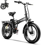 1000W Folding Electric Bike, 48V 20
