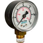 Pentair Aquatic Systems 15060-0000T Pressure Gauge Replacement Pool & Spa Filter Cleaners And Valve