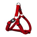 DDOXX Air Mesh Step-In Dog Harness - Adjustable Chest Harness Dogs - M (Red)