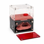 Formicarium – Ant Farm Habitat Kit for Behavior Observation, Educational Terrarium for Adults and Kids
