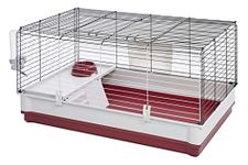 Midwest Homes for Pets 158 Rabbit Cage Includes Hay Feeder, Water Bottle, Feed Bowl, Elevated Feed Area, 39.5" x 23.75" x 19.75"