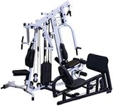 Body-Solid (EXM2500LPS) Multi-Stati