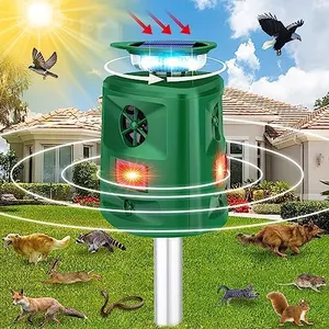 Solar Anim