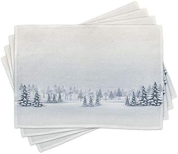 Ambesonne Winter Place Mats Set of 4, Cold Season Scene in a Park Trees Foggy Misty Blurry Ice Freezing Weather Image, Washable Fabric Placemats for Dining Table, Standard Size, White