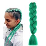 prinfantasy Ponytail Extension Crochet Braids Hair Extensions Braiding Hair Kanekalon Jumbo Braids Hair Twist Braids Synthetic Hair Tree Green Braiding Hair,GBBZ024