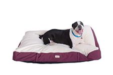 Armarkat Pet Bed Mat, 60" x 43" x 8"/XX-Large, Ivory