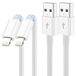 2Pack iPhone Charger Cable 1M, Apple MFi Certified Lightning Cable, iPhone Fast Charging Cable Compatible with iPhone 14 13 12 11 Pro Max XS XR X Mini 8 7 Plus 6S/iPad iPod/AirPods