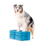 Blue-9 Propel Air Platform Kit, Professionally Designed Dog Training Accessories and Pet Products, 2-Pack, Turquoise