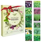 Garden Pack Herb Seeds for Planting & Outdoors, 12 Varieties, 15000 15000 Seeds Multipack Ready to Grow Starter Kit with Heirloom Seeds to Grow Aromatic Basil, Coriander, Oregano, Sage & More