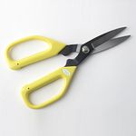 Professional Florist Carbon Blade Scissors.