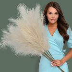 5 Pcs Beige Pampas Grass Artificial, 37.5 inch/96 cm High, Fluffy and Natural, Tall Pampas Grass, Pampas for Indoor and Outdoor Decoration.