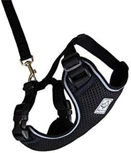 RC Pet Products Adventure Kitty Harness, Cat Walking Harness, Small, Black (53803001)