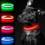 YFbrite Light up Dog Collar, Rechargeable LED Dog Collar, Flashing Dog Collar, Adjustable Reflective Dog Collar Safety Glowing at night (Red, Medium)