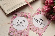 Pregnancy Journey & Reality Cards - Bright Floral DD022