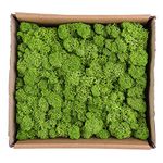 Warmiehomy Artificial Moss, Outdoor Fake Green Lichen Plants for Home, Garden, Patio Decoration Realistic Looking Garden Synthetic Turf 130g (Light Green)