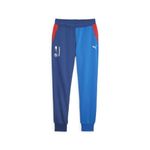 PUMA Men's Standard BMW M Motorsport Sweat Pants